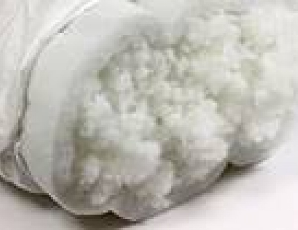Back Cushion Fill